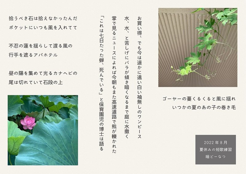 暗どーなつ22