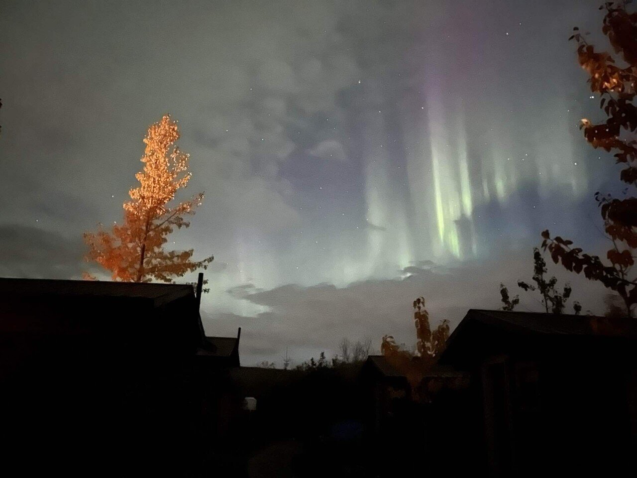 アラスカ旅 DAY9 - Denali 紅葉と雪とオーロラ｜かやこ