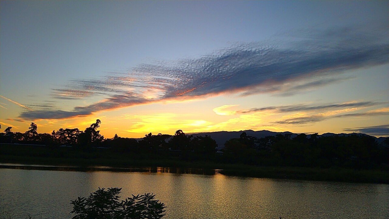 夕暮れ時 虫の音と秋風 タヌキ寝入りパンダ タヌパン Note 夕暮れ時 虫の音と秋風 タヌキ寝入りパンダ タヌパン Note