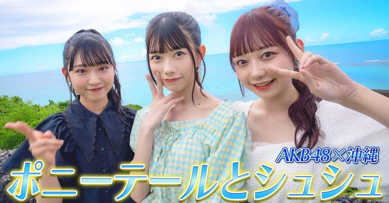 AKB 48 ポニーテールとシュシュ　ポスター　B2 非売品 ポニーテールとシュシュ ポスター