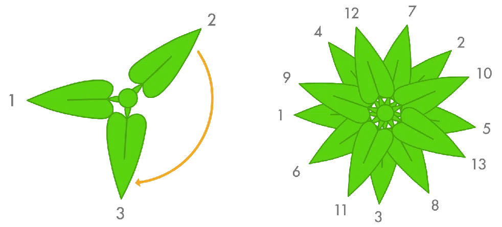 画像12