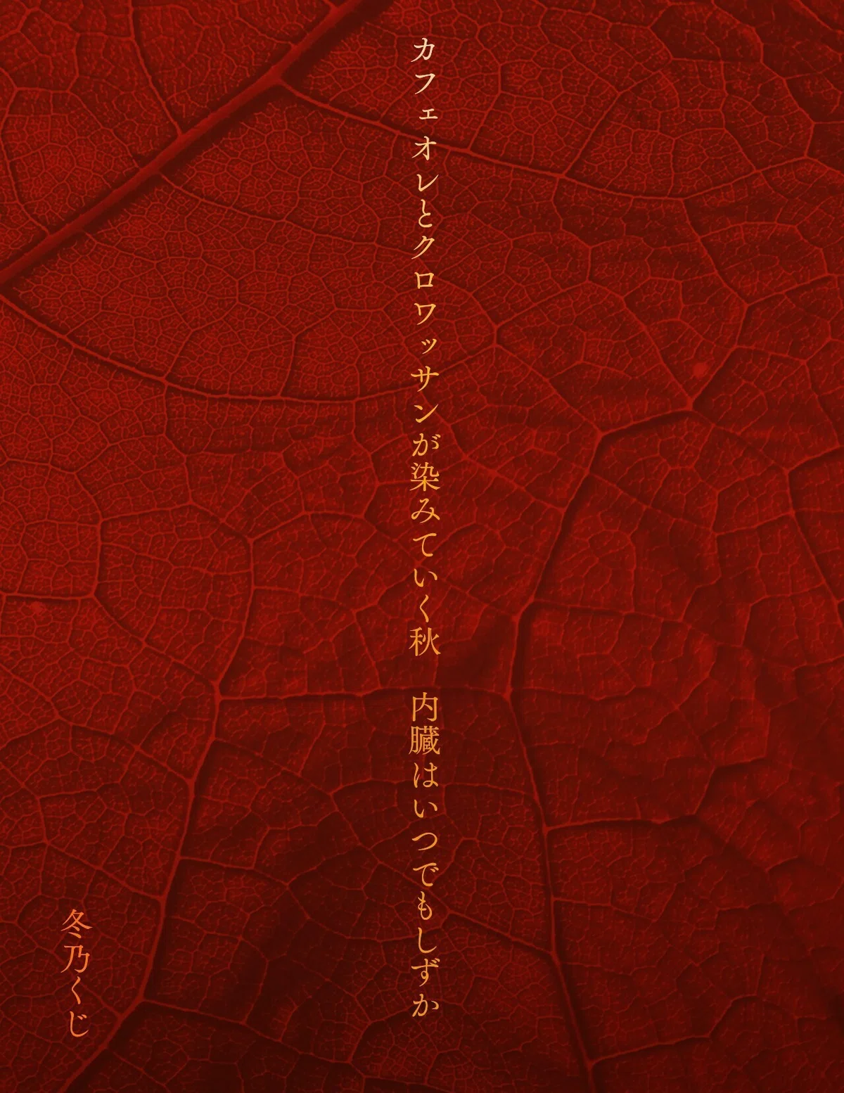 画像395