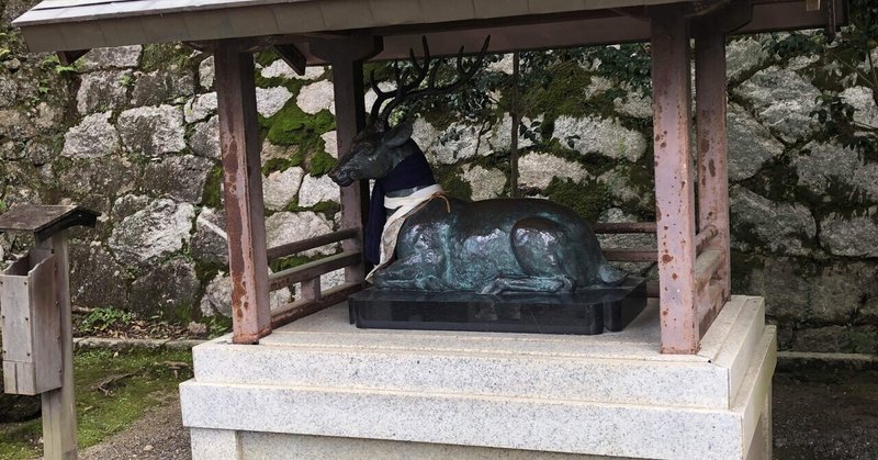 吉田神社で　鈴鹿の怪……もとい　解❣️ その1