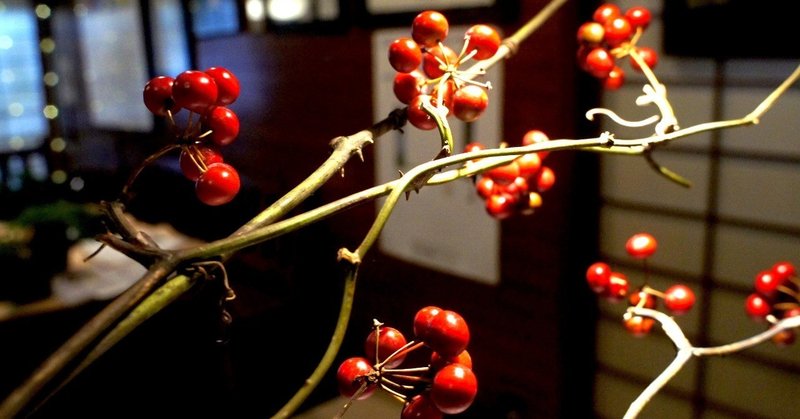 クリスマスのフラワーアレンジメントに定番の花材はサンキライの赤い実 Shuhalliの番頭 ホーキの日記 Note クリスマスのフラワーアレンジメントに定番の花材はサンキライの赤い実 Shuhalliの番頭 ホーキの日記 Note