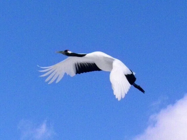画像14