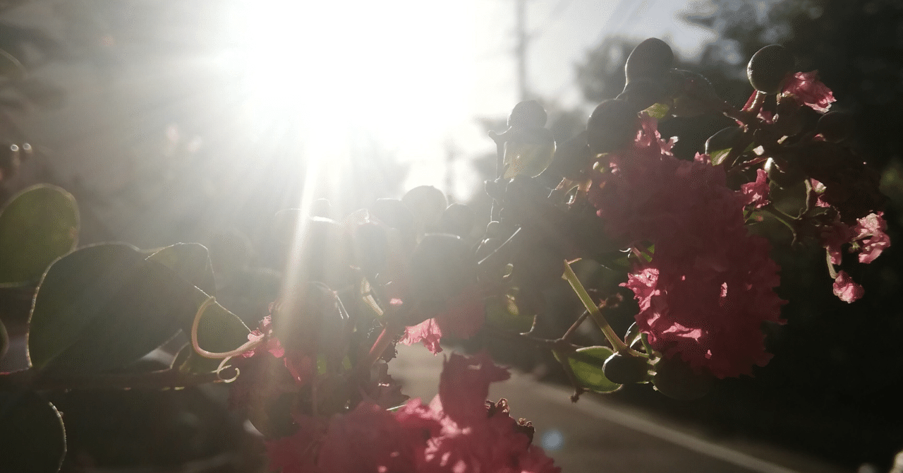 光さす未来へ Ml Note 光さす未来へ Ml Note