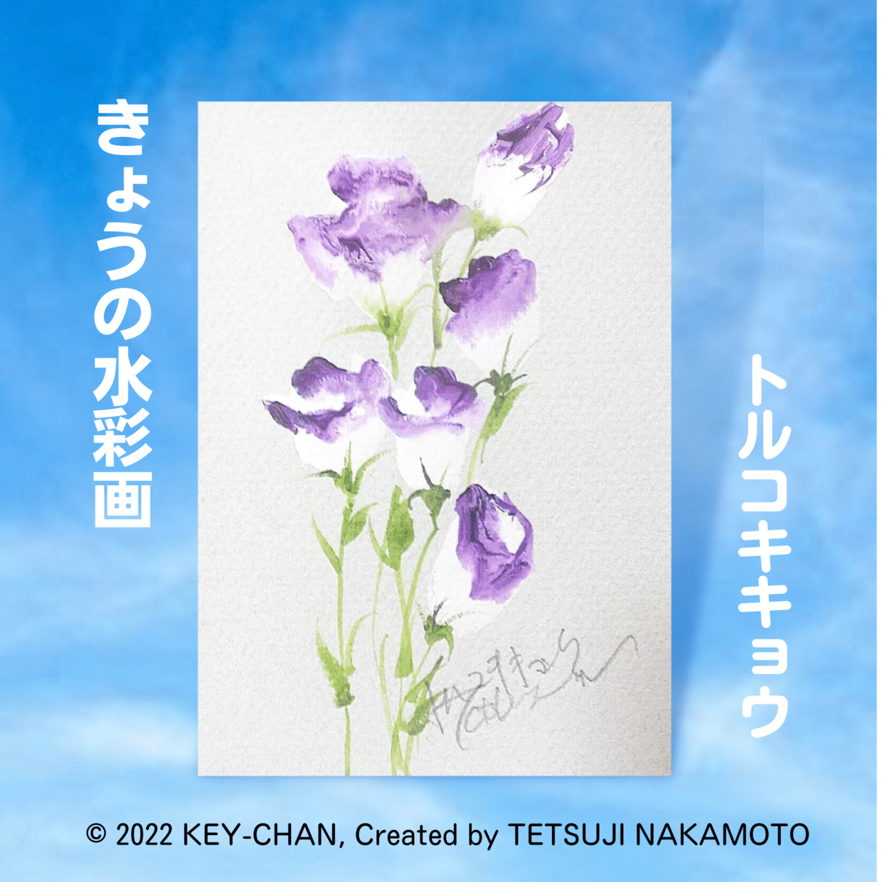 きょうの花 トルコキキョウ 作品番号bf0930 Key Chan Note