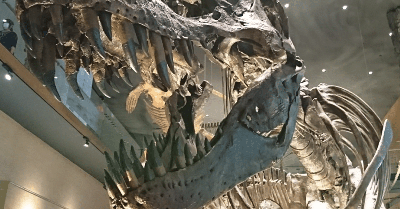#78. 【恐竜シリーズ】最大で最強の肉食恐竜！！”ギガノトサウルス”