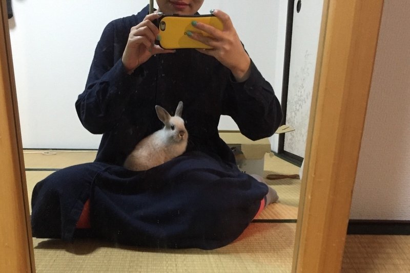 うさぎと生活 オオタ Note うさぎと生活 オオタ Note