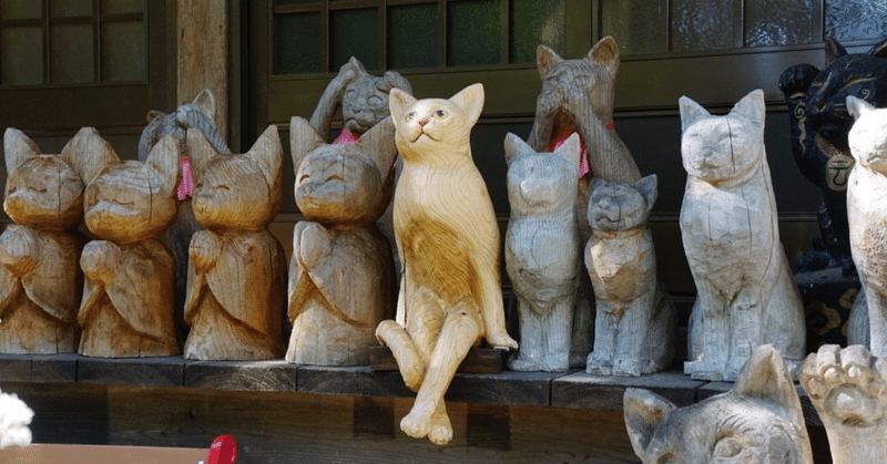 猫旅2日目🐈広島から、山口への猫旅の出逢いの記録。