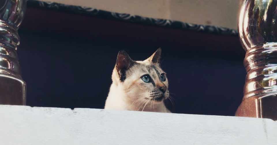 認めてもらえないことが死ぬほど怖い なおき Naocoffee Note