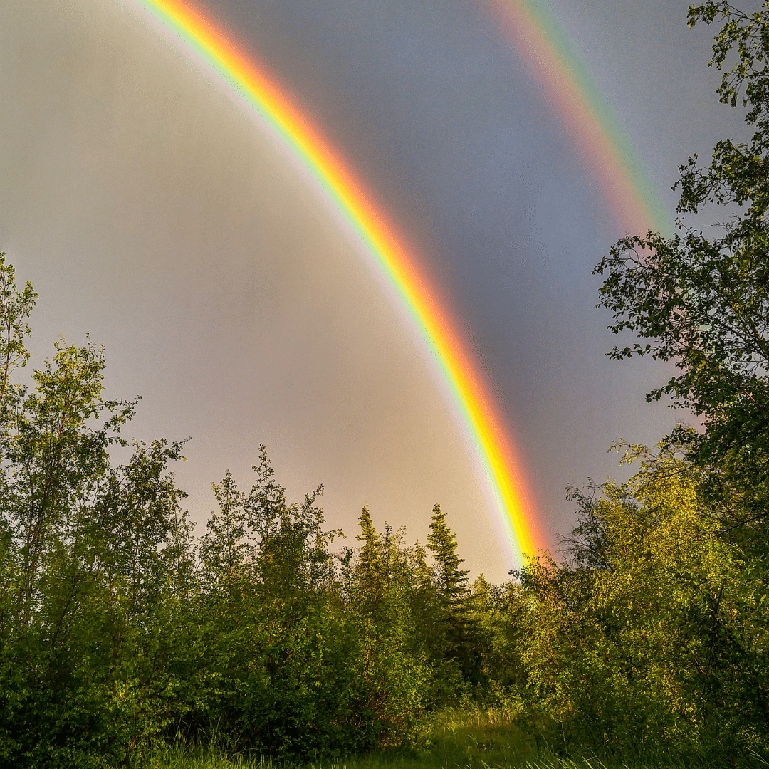 虹の庭 Amazon.co.jp: PALETTE 002 - 虹色のPuddle : にじさんじ: デジタル