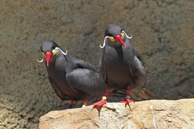画像9