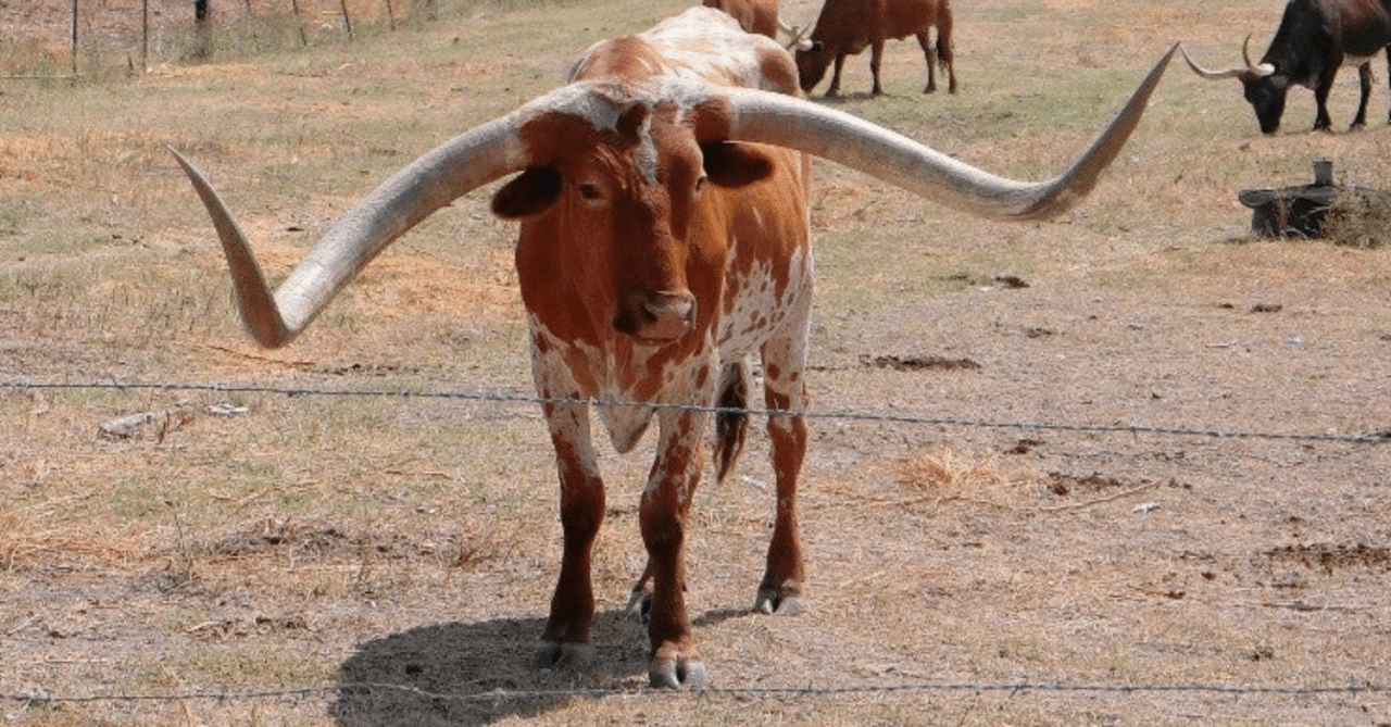 角を矯めて牛を殺す：ツノをためてウシをころす #73 辞書の生き物