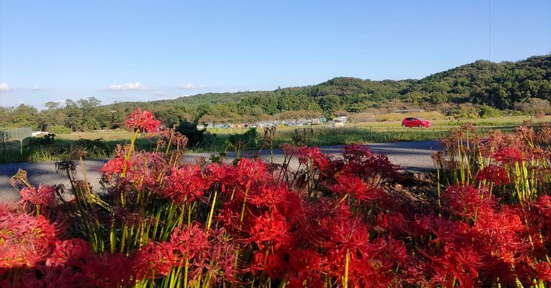 茜さす 夢見心地の 秋の空