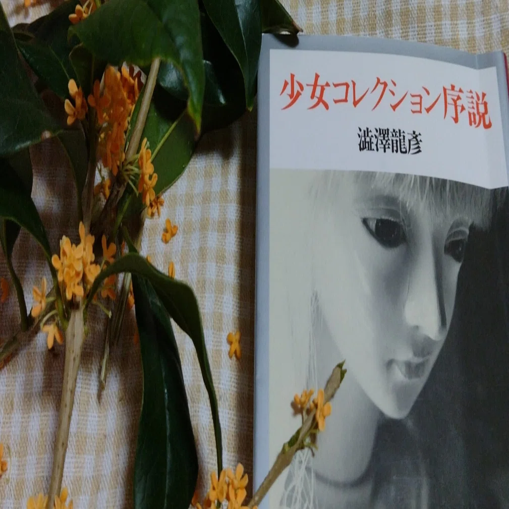幸福と奈落 なにゆえに近親相姦ものの文学や漫画を好むのか 紅緒 Note