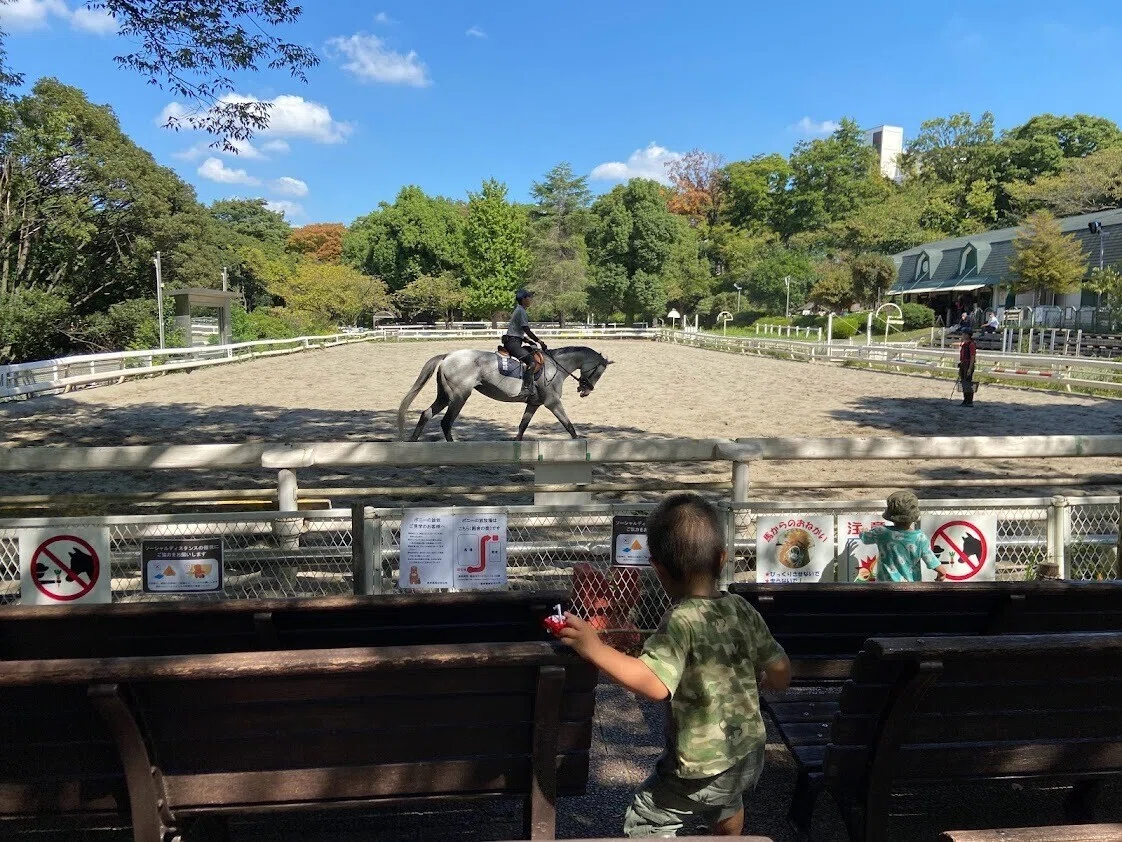 画像10
