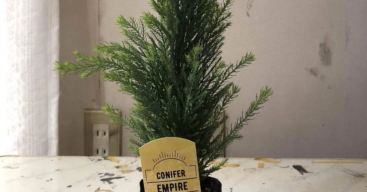 コニファーを盆栽仕立てにして、ミニクリスマスツリーを作る記録 