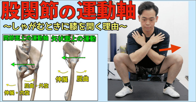 【スクワット】股関節の運動軸から考える、深くしゃがむ方法【解剖学】