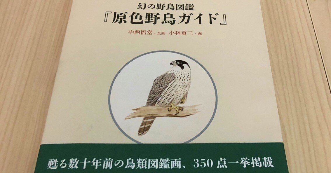 定本・野鳥記〈第10巻〉野鳥の観察 (1982年) | 中西 悟堂 |本