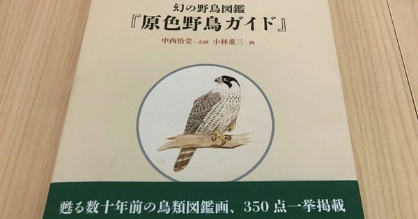令和4年度企画展 - 中西悟堂｜金沢ふるさと偉人館