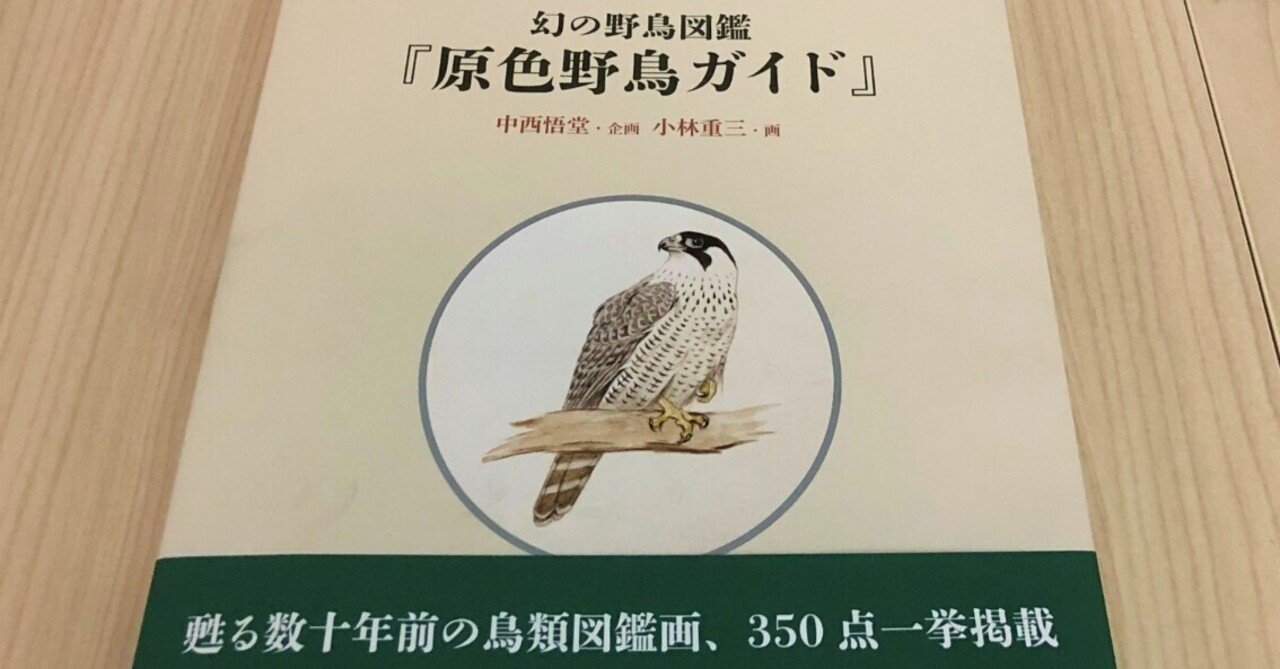 図録発刊記念】もうひとつの『原色野鳥ガイド』｜金沢ふるさと偉人館