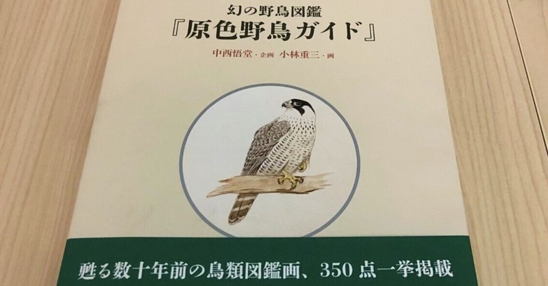 【図録発刊記念】もうひとつの『原色野鳥ガイド』