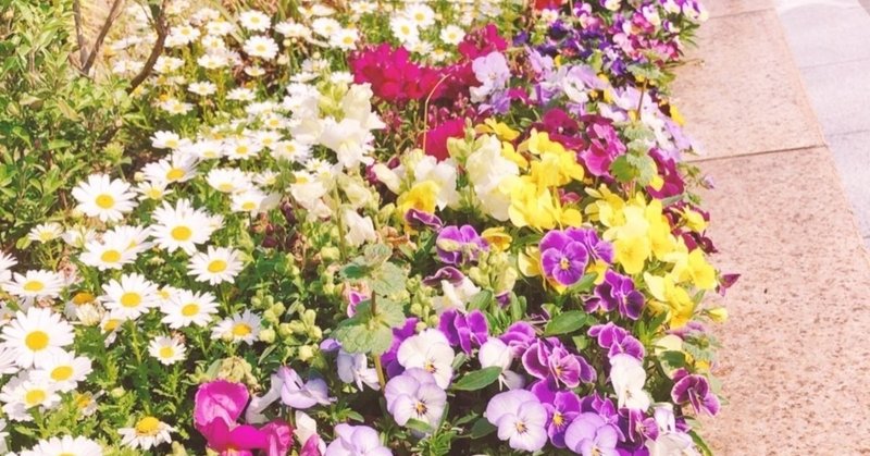 秘書の心得 1 手元美人 くみ Note