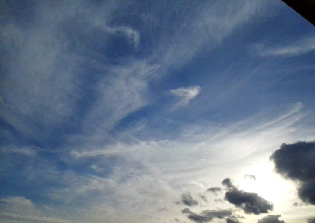 18年12月5日の龍雲や飛ぶ何か Punk See ぱんくしー Note