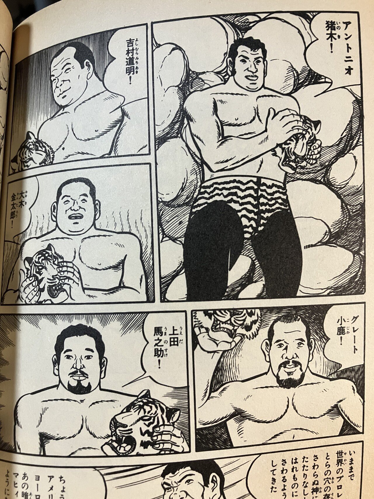 プロレス&ボクシング 1967年全巻　12冊 プロレス&ボクシング 1967年全巻 12冊（STANDARD BOOKSTORE）