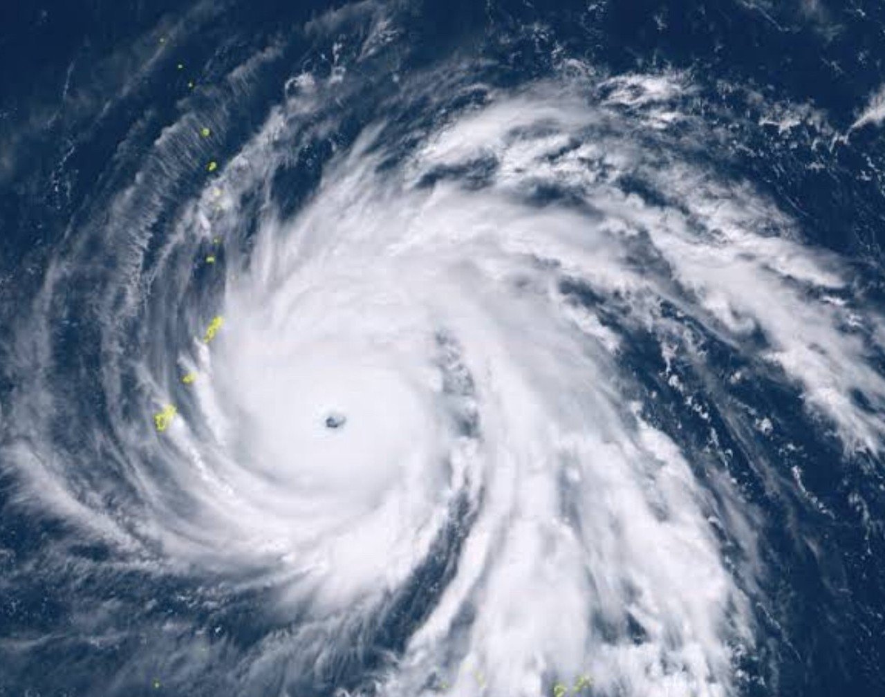 風 の中にいるのは みのむしじゃない 風の秘密 Ku Note 風 の中にいるのは みのむしじゃない 風の秘密 Ku Note