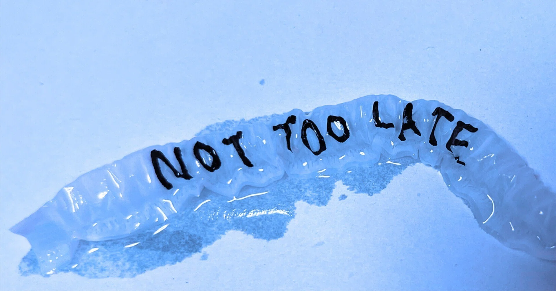 NOT TOO LATE #6: Michael Northrup: DREAM AWAY|flotsambooks NOT TOO LATE #6: Michael Northrup: DREAM AWAY|flotsambooks