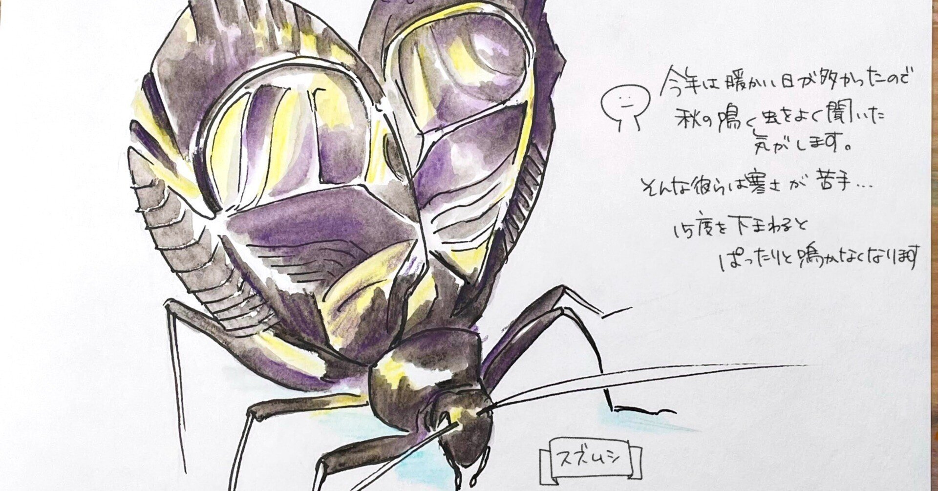 虫 rectangle_large_type_2_48e3402