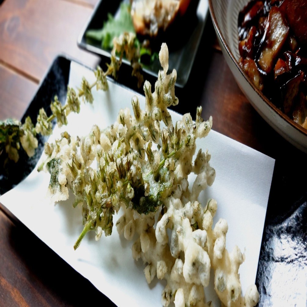 楽しみにしていた穂紫蘇 しその実 天婦羅にしてみた つぐみ Note