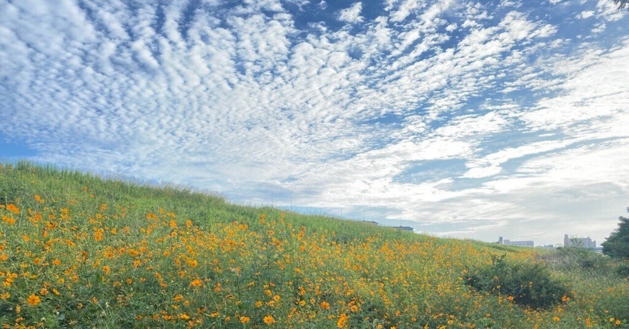 隣の芝生は、一生青い。｜いっしー