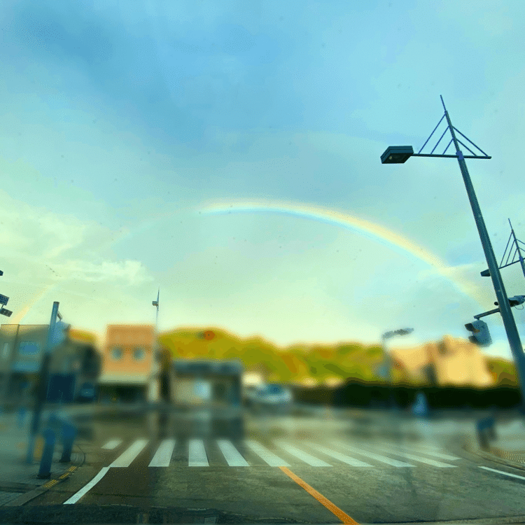 久々にくっきりとした虹を見た日