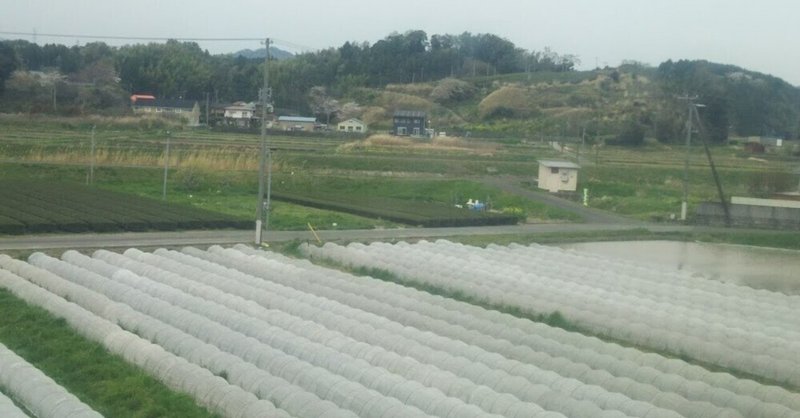 川を越え茶畑を抜ける鉄路　静岡～掛川【東海道本線 途中下車の旅#9】