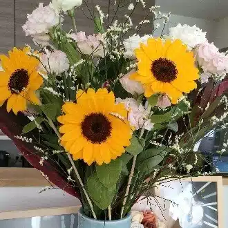 らずあや