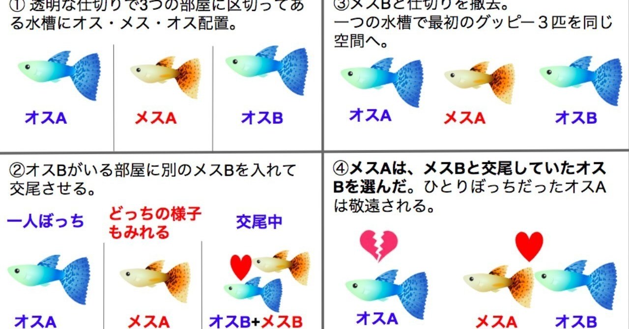 グッピー理論 の新着タグ記事一覧 Note つくる つながる とどける