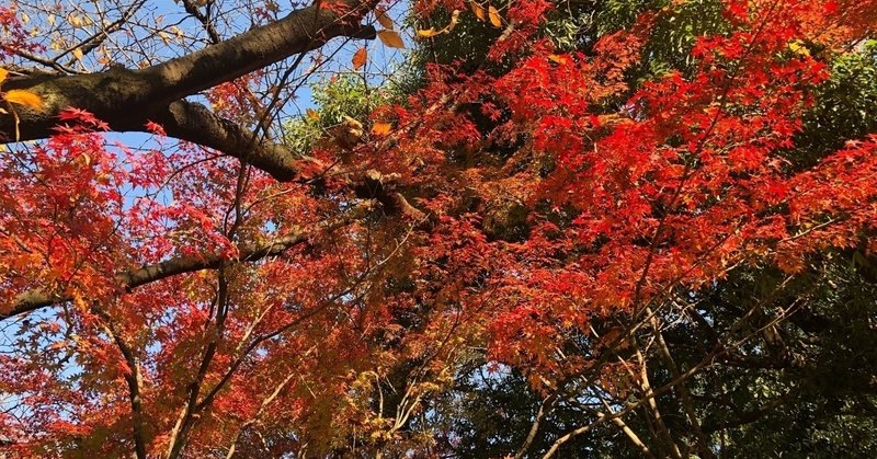 すぎみなの手相教室③〜手相の元は線じゃない〜