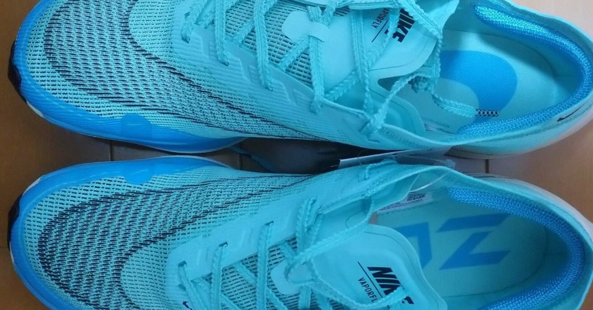 Nike ズームフライ 6 キプチョゲ 26.5 倒れ込む ランニング