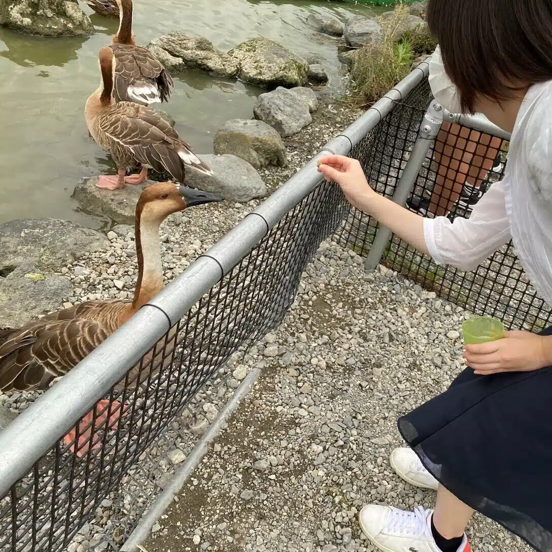 なっちゅん