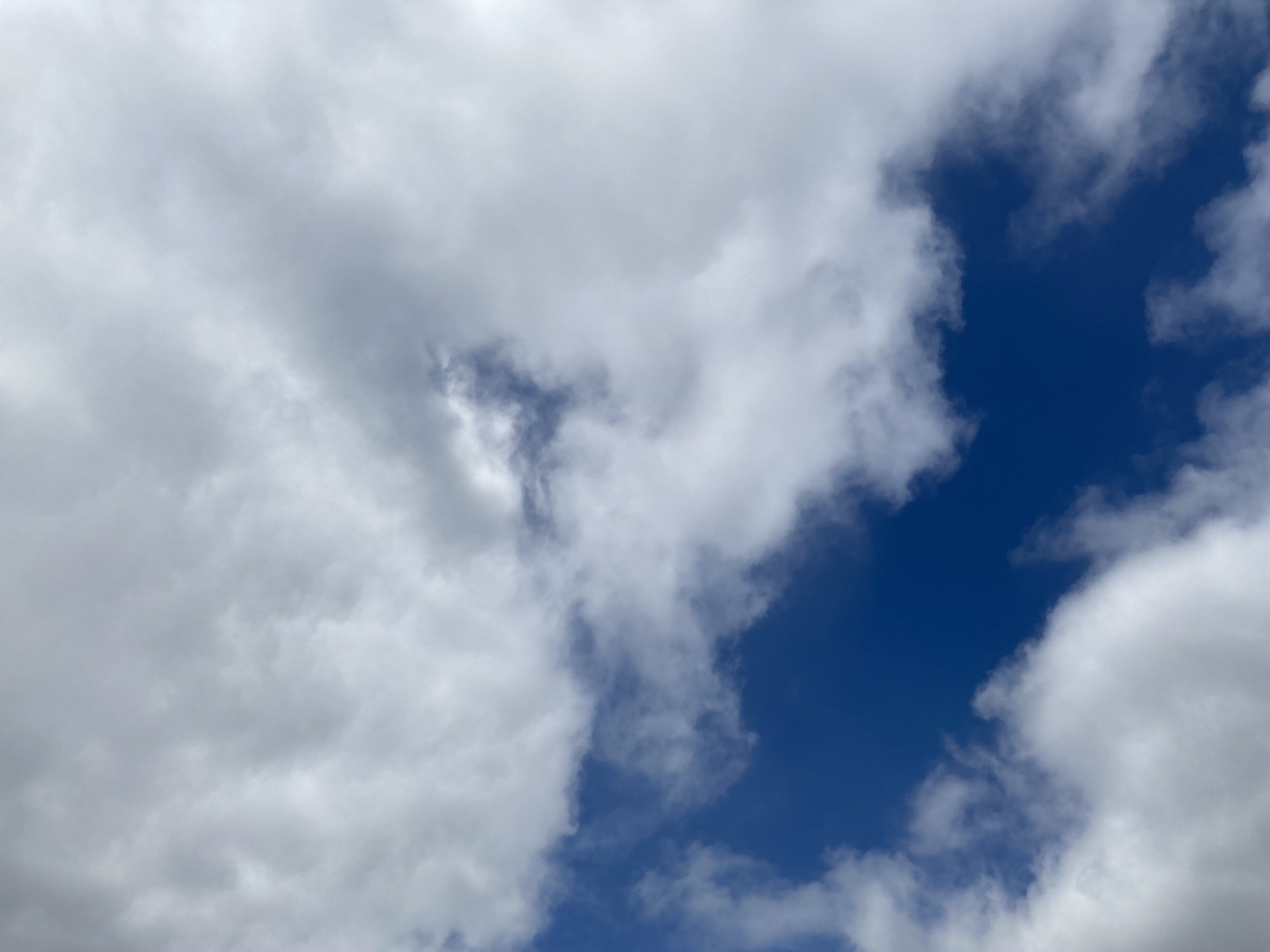 夏の終わり秋のはじまり の新着タグ記事一覧 Note つくる つながる とどける