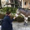 めがねさんのひとりごと