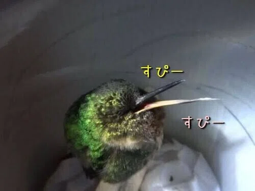 画像7