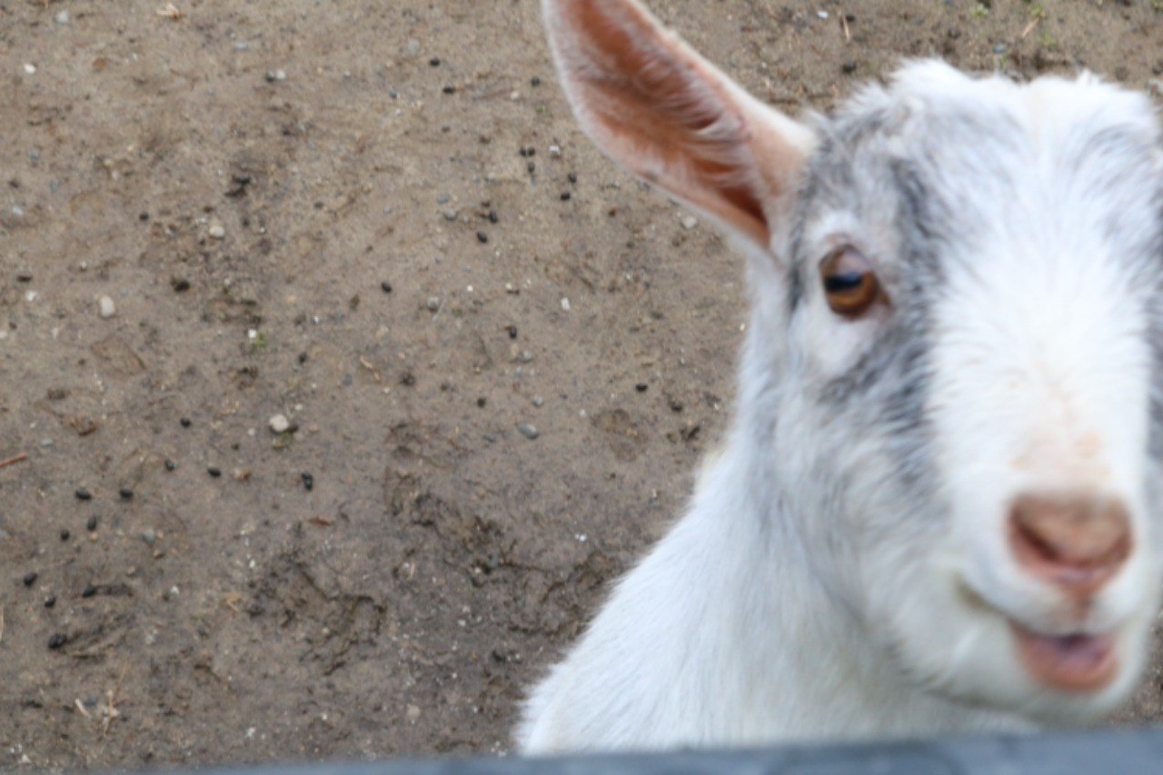 ぐっすりへのすゝめ 駄作 Note