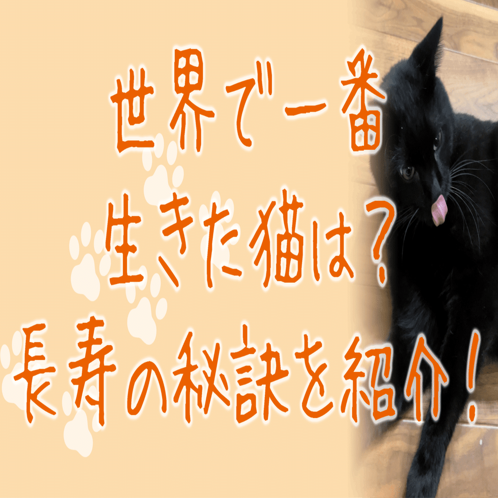 世界で一番生きた猫は 長寿の秘訣を紹介 愛猫のための専門家 タケ Note