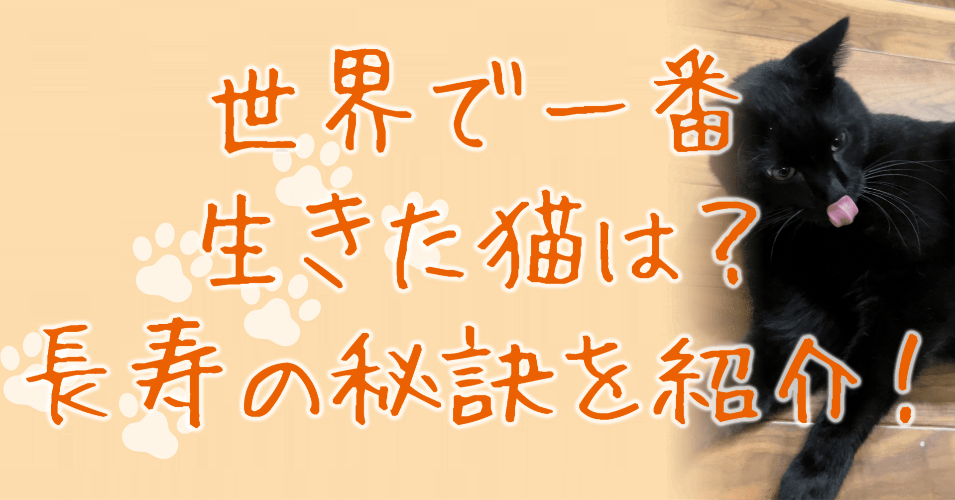 世界で一番生きた猫は 長寿の秘訣を紹介 愛猫のための専門家 タケ Note 世界で一番生きた猫は 長寿の秘訣を紹介 愛猫のための専門家 タケ Note
