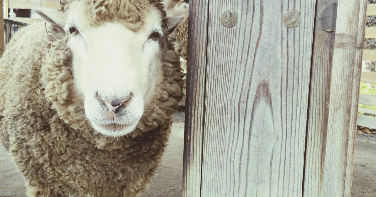 映画「LAMB/ラム」〜羊男と因果応報|makoto|note