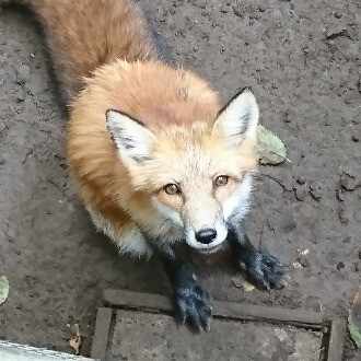 旧司過去問を解く―民事訴訟法平成22年第1問 ｜小林達雄｜司法